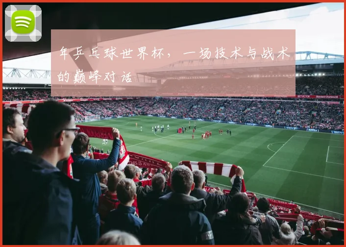 年乒乓球世界杯，一场技术与战术的巅峰对话