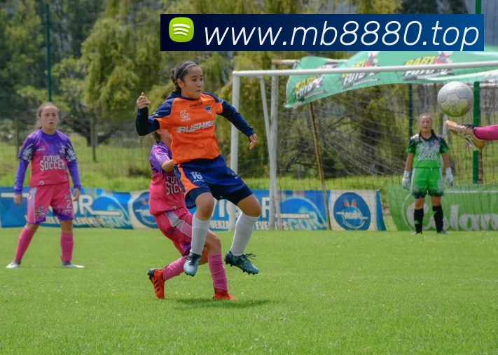 云开app官方登录入口APP 体育赛事宣传图